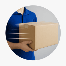 Rapid Delivery